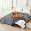 imageSmiry Waterproof Dog Blanket Reversible Dog Bed Cover Pet Blanket Soft Pet Couch Covers for Sofa Washable Bed Couch Sofa Furniture Protector for Puppy Cat Kids 30quotx70quot GreyDark GreyGreyDark Grey