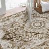 imageSmiry 4x6 Area Rugs for Living Room Machine Washable Non Slip Vintage Retro Rugs Low Pile Lightweight Boho Floral Printed Floor Carpets Rugs for Bedroom Dining Room Home Office BeigeBrown