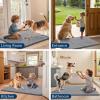imageSmiry Dog Door Mat for Muddy Paws 30x20 Absorbs Moisture and Dirt Doormat NonSlip Washable Quick Dry Chenille Front Door Mat Indoor Entrance Entryway Carpet for Inside Floor Navy BlueGrey