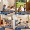 imageSmiry Dog Door Mat for Muddy Paws 30x20 Absorbs Moisture and Dirt Doormat NonSlip Washable Quick Dry Chenille Front Door Mat Indoor Entrance Entryway Carpet for Inside Floor Navy BlueDark Grey
