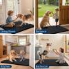 imageSmiry Dog Door Mat for Muddy Paws 30x20 Absorbs Moisture and Dirt Doormat NonSlip Washable Quick Dry Chenille Front Door Mat Indoor Entrance Entryway Carpet for Inside Floor Navy BlueBlack