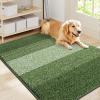 imageSmiry Dog Door Mat for Muddy Paws Absorbs Moisture and Dirt LowProfile Entryway Mat with NonSlip Backing Entry Indoor Outdoor Doormat for Inside Floor 30x20 Inches BlackGreen