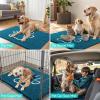 image:imageSmiry Dog Door Mat for Muddy Paws Absorbent Dirt Trapper Non Slip Quick Dry Washable Chenille Mat for Mud Dogs Entry Rug for Indoor and Outdoor 30x20 Inches Dark Grey and WhiteAtlantic Blue and White
