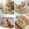 image:imageSmiry Dog Door Mat for Muddy Paws 30x20 Extra Soft Absorbent Chenille Doormat Trap Moisture and Dirt NonSlip Machine Washable Front Door Mat for Indoor Entrance Inside Floor Atlantic BlueSage Green