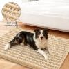 image:imageSmiry Dog Door Mat for Muddy Paws 30x20 Extra Soft Absorbent Chenille Doormat Trap Moisture and Dirt NonSlip Machine Washable Front Door Mat for Indoor Entrance Inside Floor Atlantic BlueBeige