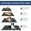 image:imageSmiry Dog Door Mat for Muddy Paws 30x20 Extra Soft Absorbent Chenille Doormat Trap Moisture and Dirt NonSlip Machine Washable Front Door Mat for Indoor Entrance Inside Floor Atlantic BlueGreen