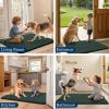 image:imageSmiry Dog Door Mat for Muddy Paws 59x24 Absorbs Moisture and Dirt Doormat NonSlip Washable Quick Dry Chenille Front Door Mat Indoor Entrance Entryway Carpet for Inside Floor CamelGreen