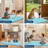 image:imageSmiry Dog Door Mat for Muddy Paws 59x24 Absorbs Moisture and Dirt Doormat NonSlip Washable Quick Dry Chenille Front Door Mat Indoor Entrance Entryway Carpet for Inside Floor CamelSky Blue