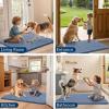 image:imageSmiry Dog Door Mat for Muddy Paws 59x24 Absorbs Moisture and Dirt Doormat NonSlip Washable Quick Dry Chenille Front Door Mat Indoor Entrance Entryway Carpet for Inside Floor CamelAiry Blue