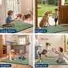 image:imageSmiry Dog Door Mat for Muddy Paws 59x24 Absorbs Moisture and Dirt Doormat NonSlip Washable Quick Dry Chenille Front Door Mat Indoor Entrance Entryway Carpet for Inside Floor CamelOlive Green