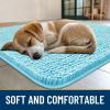 image:imageSmiry Dog Door Mat for Muddy Paws 59x24 Absorbs Moisture and Dirt Doormat NonSlip Washable Quick Dry Chenille Front Door Mat Indoor Entrance Entryway Carpet for Inside Floor CamelSky Blue