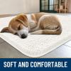 image:imageSmiry Dog Door Mat for Muddy Paws 59x24 Absorbs Moisture and Dirt Doormat NonSlip Washable Quick Dry Chenille Front Door Mat Indoor Entrance Entryway Carpet for Inside Floor CamelIvory