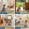 image:imageSmiry Dog Door Mat for Muddy Paws 59x24 Absorbs Moisture and Dirt Doormat NonSlip Washable Quick Dry Chenille Front Door Mat Indoor Entrance Entryway Carpet for Inside Floor CamelSage Green