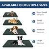 image:imageSmiry Dog Door Mat for Muddy Paws 30x20 Absorbent Microfiber Dirt Trapper Pet Doormat NonSlip Washable Quick Dry Chenille Front Door Mat Entryway Rug for Indoor and Outdoor BeigeGreen